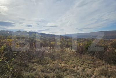 Teren de investitie! 600 mp, cartier Europa! - 3