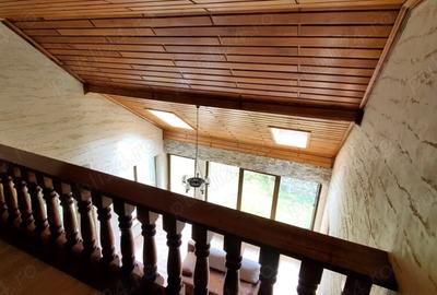 Casa de vacanta 3 niveluri P+E+M Colibita - 8