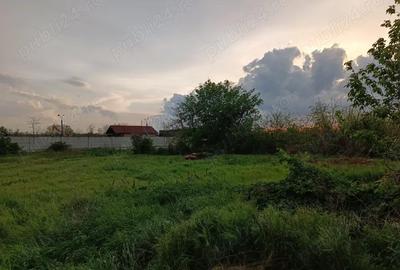 Teren în Alfa