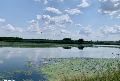 Spațiu comercial, în Crevedia - 5