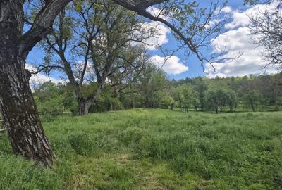 Vand loc de casa Goruia - 13