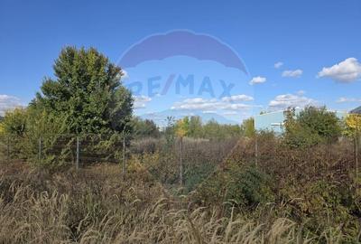 Teren 12.400 mp Centura Stefanesti nod A3 optional plus 14.000 mp - 4