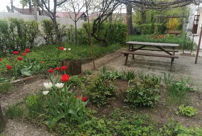 Apartament cu 2 camere decomandat în Albești - 5