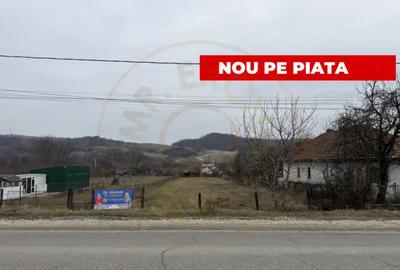 Teren de 3000 mp, în Exterior Vest - 16