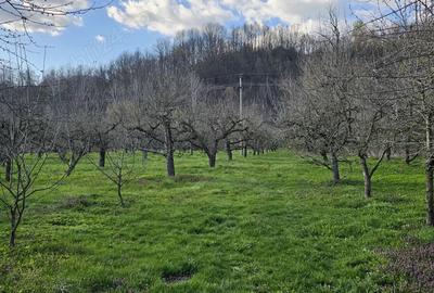 Case + teren de vanzare Case + teren de vanzare - 9