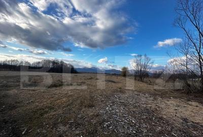 Teren 8000 mp, zona Pestisani - 2