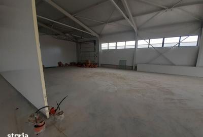 Spațiu comercial, de 300 mp, în Cernica - 6