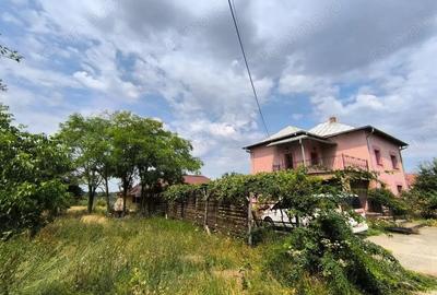 Case Parvu Ro?u - Coste?ti la 13 km de Pite?ti - 2