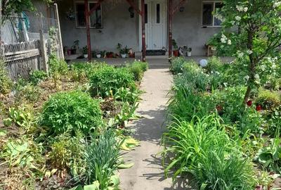 Casă cu 3 camere în Valea Grecului