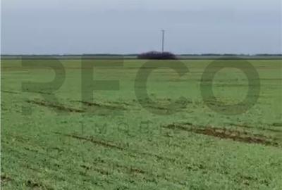 Teren de 8632 mp, în Nojorid