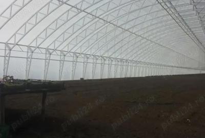 Teren de 5000 mp, în Matca - 4