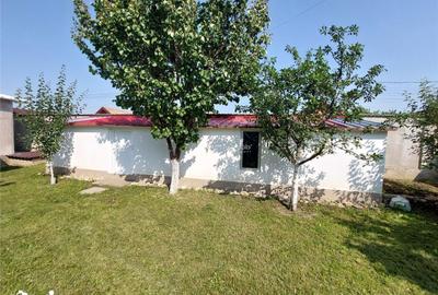 Casă cu 2 camere cu Teren 1024 Mp în Mărăcineni - 8