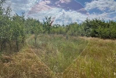 Teren 6,080mp Craiova / Aleea 5 Primaverii - 6