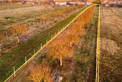 Teren Construcții intravilan de 5342 mp, în Hotar - 3