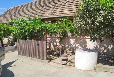 Casă cu 6 camere cu Teren 1596 Mp în Nerău - 8