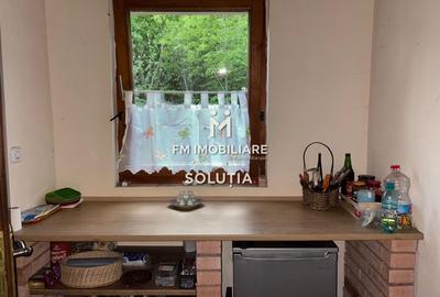 Cabană de vacanță lângă Lacul Mujdeni! - 8