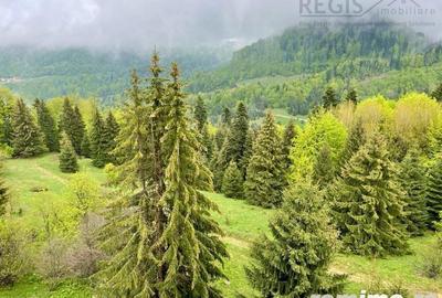 Imobil NOU, in inima muntilor, 24 apartamente - 18