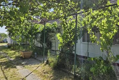 Casă cu 3 camere cu Teren 2985 Mp în Nițchidorf - 3