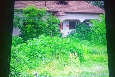 Casă cu 3 camere cu Teren 1700 Mp în Central - 2