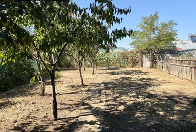 Casă individuală cu 3 camere cu Canalizare în Chiajna - 17