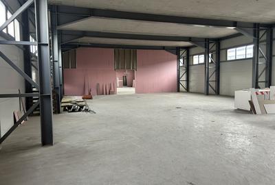 Hala Productie de inchiriat 1800mp in Baciu zona Prodvinalco - 3