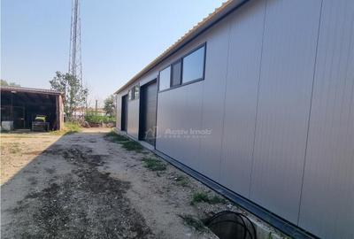 HALA 240 mp Constructie Noua Alexandria - 1