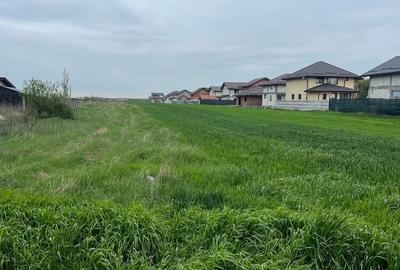 Teren de 3168 mp, în Cosoba - 4