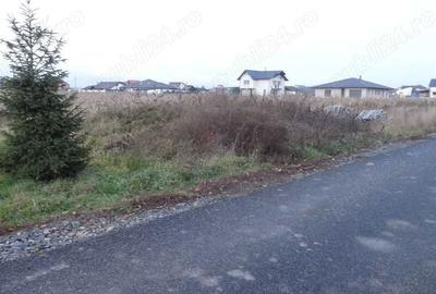 Spațiu comercial, în Mocira - 2