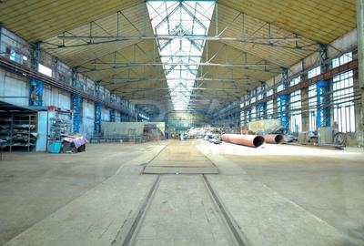 Hala cu pod rulant | Industriilor - 3