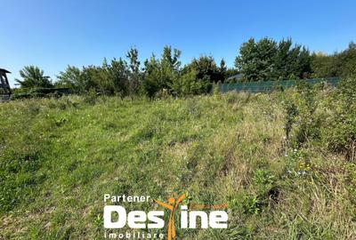 Teren Intravilan - Hlincea (Ciurea) 1000Mp - 7