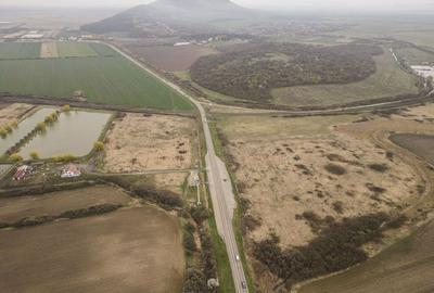 Teren extravilan in Ineu - 13