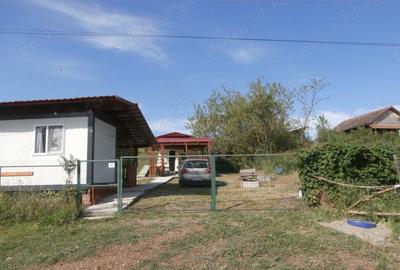 Casă cu 3 camere cu Teren 2697 Mp în Teș - 10