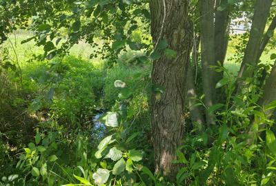 Teren de 1035 mp, în Central - 1