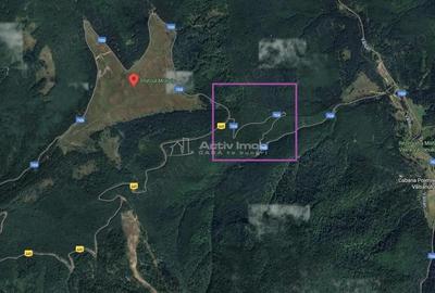 Teren de 69450 mp, în Arefu - 7