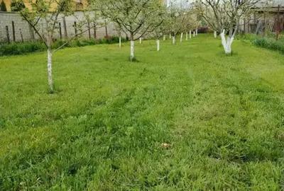 De vanzare Teren intravilan 913 mp ?an?areni - 1