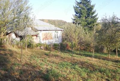 Casă cu 3 camere cu Teren 25000 Mp în Călinești - 2