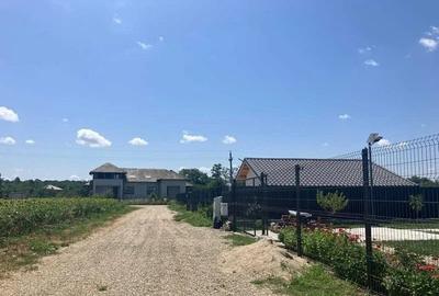 Teren intravilan Balteni, Scrovistea - langa Satul Brancovenesc - 4