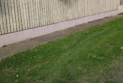 Casă cu 3 camere cu Teren 1877 Mp în Movila - 3