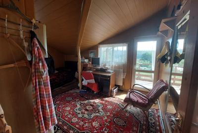 PROPRIETATE SUPERBA IN BIBIRESTI - 12