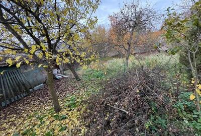 Casă cu Teren 943 Mp în Central - 3