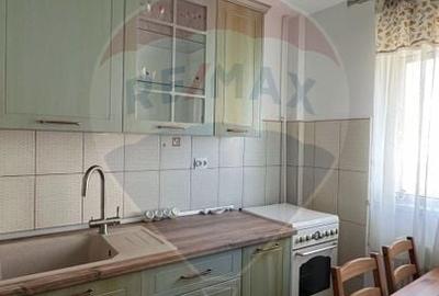 Apartament cu 2 camere semidecomandat, mobilat în Drumul Taberei - 3