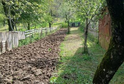 Casă cu 4 camere în Rădoiești - 2