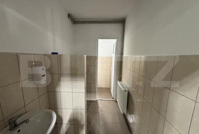 Hale de inchiriat - 2