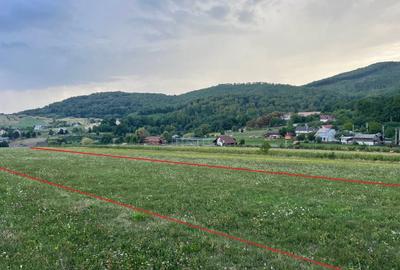 Teren de 11500 mp, în Târgu Neamț - 1
