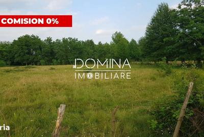 Spațiu comercial, în Polovragi - 7