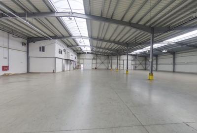 Hală industrială de vânzare 1857 mp - 3