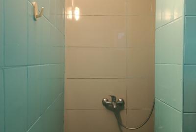 Apartament cu 2 camere, mobilat în Brotăcei - 12