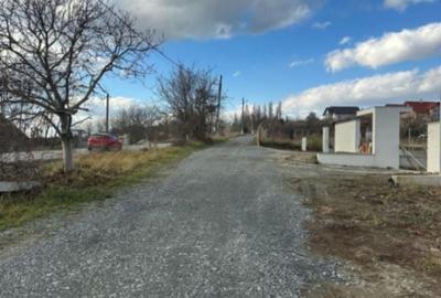 Teren Construcții intravilan de 2000 mp, în Daia - 11