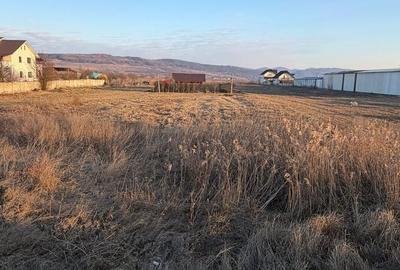 Spațiu comercial, în Buhoci - 3