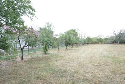 Teren intravilat 1777 mp, front 16 m, zona centru Aricestii - 1